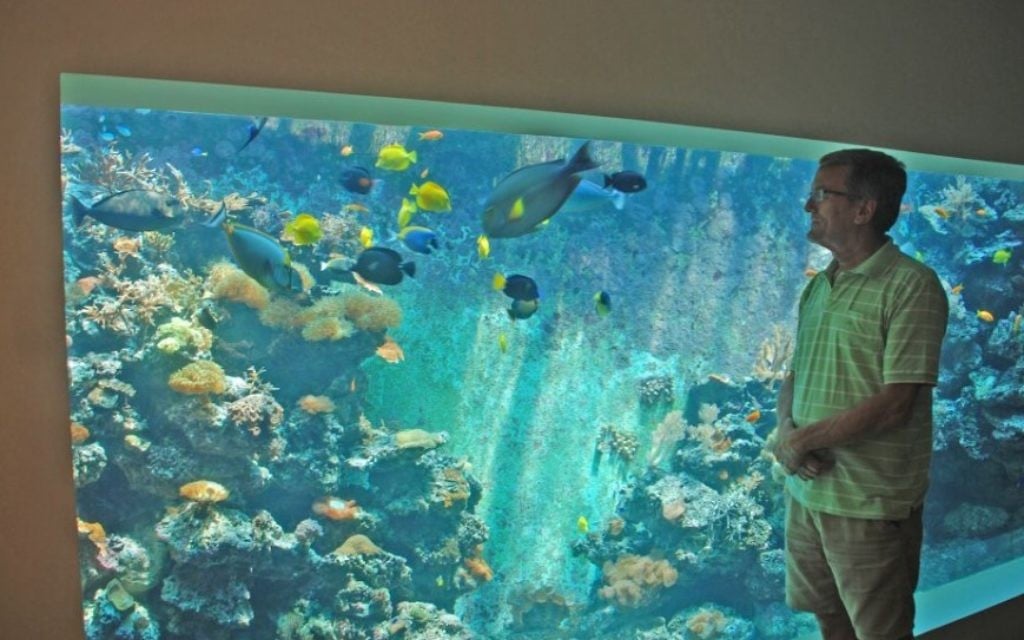 Eli Fruchter devant ce qui est peut-être le plus grand aquarium récifal domestique dans son salon à Haïfa. (Crédits : Miriam Nahum/Times of Israel)