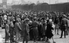 Juifs hongrois sur la Judenrampe (rampe juive) après le débarquement des trains à Auschwitz-Birkenau, mai 1944. Vers la droite ! signifiait que la personne avait été choisie pour travailler ; Vers la gauche ! signifiait la mort dans les chambres à gaz. (Crédit : De l'album d'Auschwitz)
