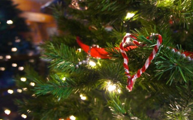 Un arbre de Noël (Crédit : CC BY Johnny Lai, Flickr)