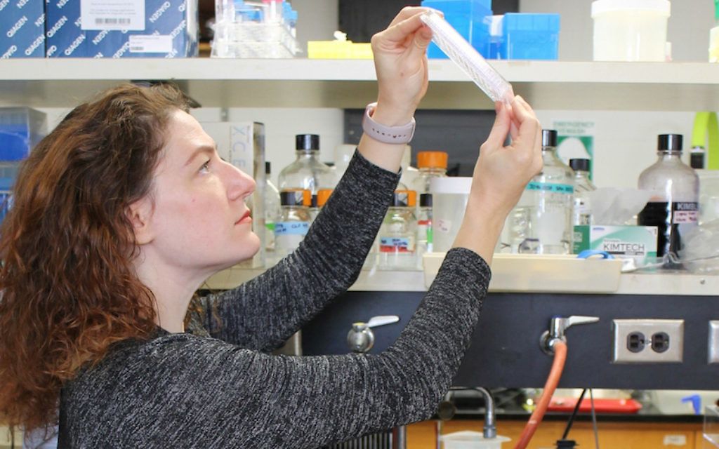 Joanna Slusky, professeur de biosciences moléculaires et de biologie informatique à l'Université du Kansas au travail dans son laboratoire. (Crédit :  Sarah Mullinax/via JTA)