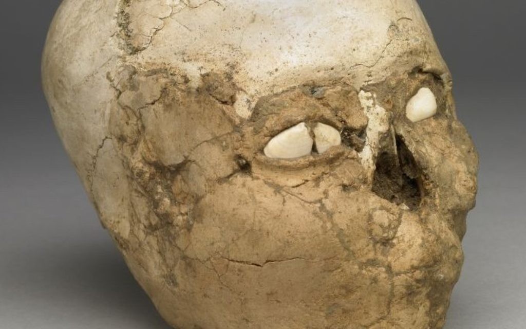 Un crâne enduit de plâtre datant du Néolithique, il y a 9 500 ans de la collection du British Museum. (Crédit : British Museum) Un crâne enduit de plâtre datant du Néolithique, il y a 9 500 ans de la collection du British Museum. (Crédit : British Museum)