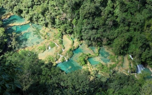 Semuc Champey au Guatemala (Crédit : CC BY-SA Christopher Crouzet, Wikimedia)