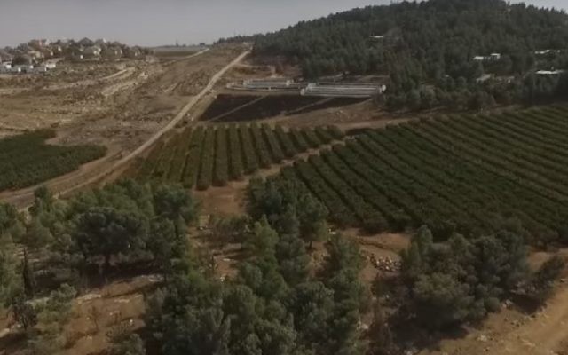 Illustration : Des champs agricoles proches de l'implantation de Havat Maon, filmés par le drone d'une organisation palestinienne, située près de Hébron, en Cisjordanie. (Crédit : Regavim)