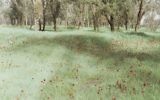 Le photographe Rafael Herman expose ses "nuits américaines" au Musée d'art contemporain de Rome jusqu'en mars (Crédit: Musée MACRO Testaccio)