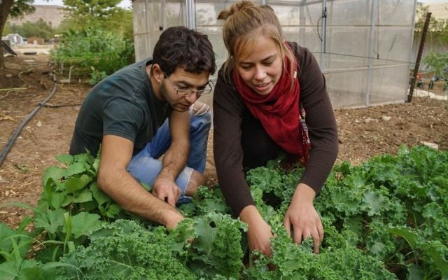 Des étudiants au travail à l'institut Arava (Autorisation)