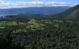 Vue du Puyehue National Park au sud du Chili (Crédit : CC BY 2.0, Christian Cordova, Wikimedia Commons)