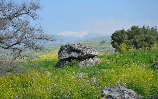 Le dolmen âgé de 4 000 ans découvert en Galilée. (Crédit : Gonen Sharon/College Tel Hai)