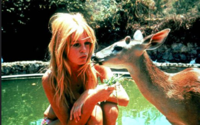 Brigitte Bardot (Crédit : CC BY 2.0)