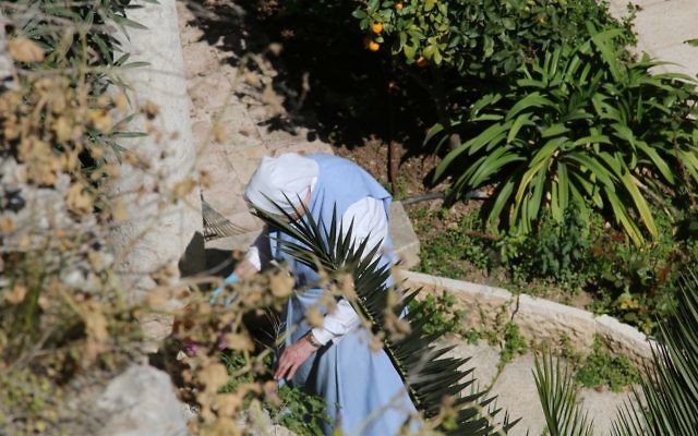 Une femme dans les jardins du Patriarcat latin de Jérusalem. (Crédit : Shmuel Bar-Am)