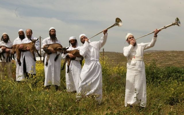 Habillés de blanc et soufflant dans des trompettes 'argent, ces prêtres en formation se préparent au sacrifice de Pessah. (Crédit : Institut du Temple)