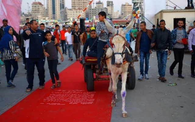 Un Palestinien sur le tapis rouge sur lequel est inscrit le texte de la déclaration Balfour, à Gaza Ville, le 12 mai 2017. (Crédit : Mohammed Abedi/AFP)