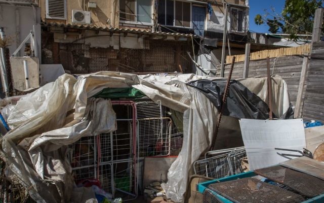 La cage extérieure d'une habitation où un adolescent de 14 ans serait resté en situation d'isolement par ses parents à Hadera, le 11 mai 2017 (Crédit : Flash90) La cage extérieure d'une habitation où un adolescent de 14 ans serait resté en situation d'isolement par ses parents à Hadera, le 11 mai 2017 (Crédit : Flash90)