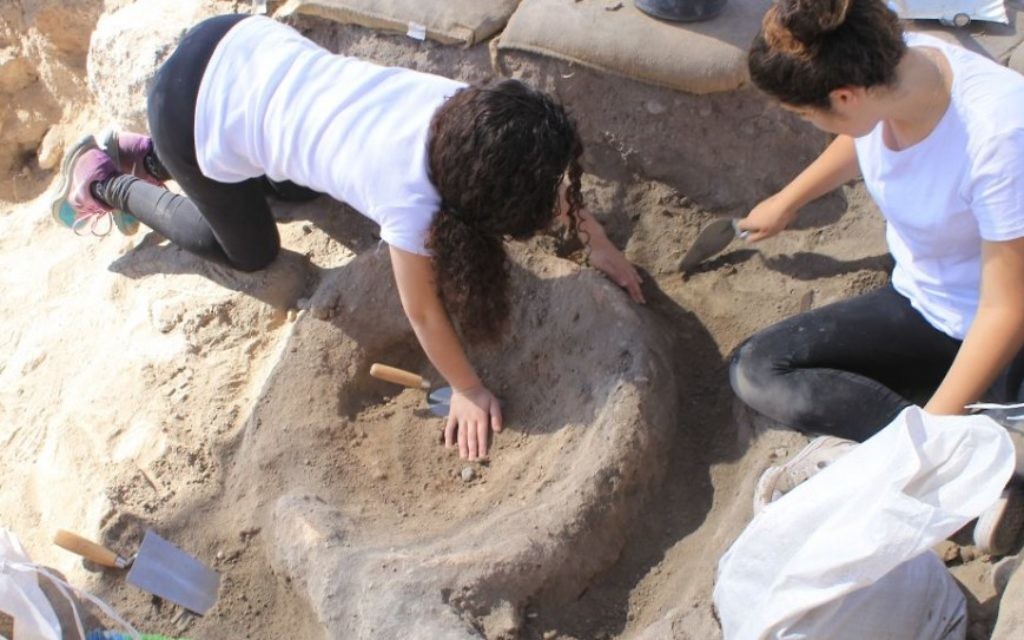 Près de 2 500 écoliers et bénévoles de tous âges de Modiin ont participé aux fouilles archéologiques de Tittora. (Crédit : Vered Bosidan, Israel Antiquities Authority)