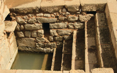 L'un des quatre bains rituels retrouvés au site archéologique de Magdala, en Galilée, qui sont les plus anciens jamais connus dans le pays et qui étaient remplis d'eaux souterraines (Crédit : Autorisation)