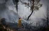 Les pompiers tentent d'éteindre un feu dans la Vallée de la Croix, à Jérusalem, le 5 août 2017. Illustration. (Crédit :  Yonatan Sindel/Flash90)