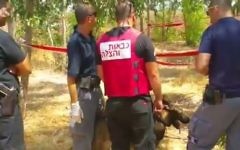 Policiers sur la scène de la découverte d'un corps brûlé à côté d'une voiture carbonisée, près de Tel Adashim, le 27 août 2017. (Crédit : capture d'écran Dixième chaîne)