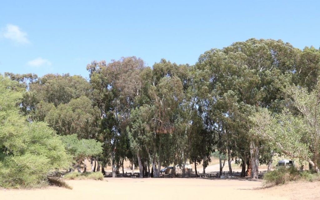 Un lieu pour pique-niquer près du Kibbutz Nitzanim. La région accueille maintenant une réserve naturelle. (Crédit : Shmuel Bar-Am)
