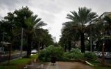 Le boulevard Rothschild de Tel Aviv après un orage, en octobre 2015. Illustration. (Crédit : Ben Kelmer/Flash90)
