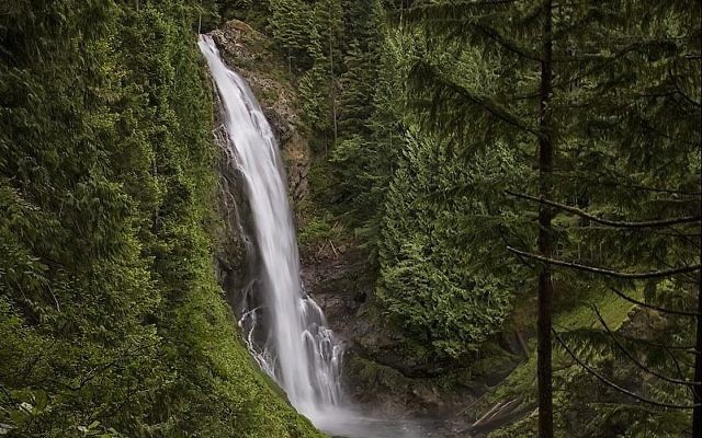 Le parc de Wallace Falls, dans l'état de Washington, le 3 juillet 2014. Illustration. (Crédit : Steven Pavlov/CC BY-SA/Wikimedia commons) Le parc de Wallace Falls, dans l'état de Washington, le 3 juillet 2014. Illustration. (Crédit : Steven Pavlov/CC BY-SA/Wikimedia commons)