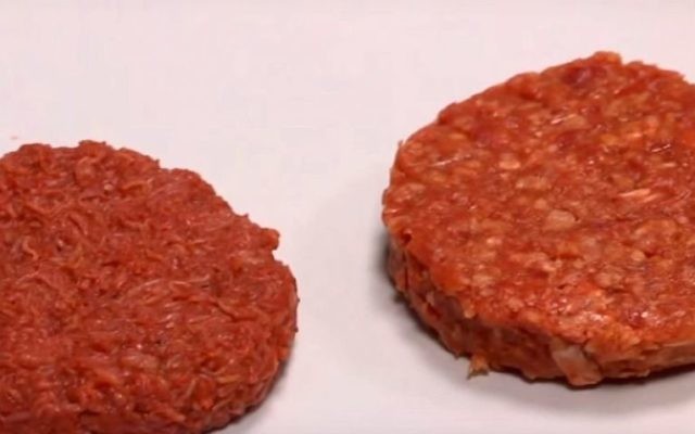Des steaks hachés produits à partir de cellules animales dans un laboratoire (Crédit : Capture d'écran Youtube)