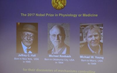 Jeffrey C. Hall, Michael Rosbash et Michael W. Young (Crédit : AFP / Jonathan NACKSTRAND