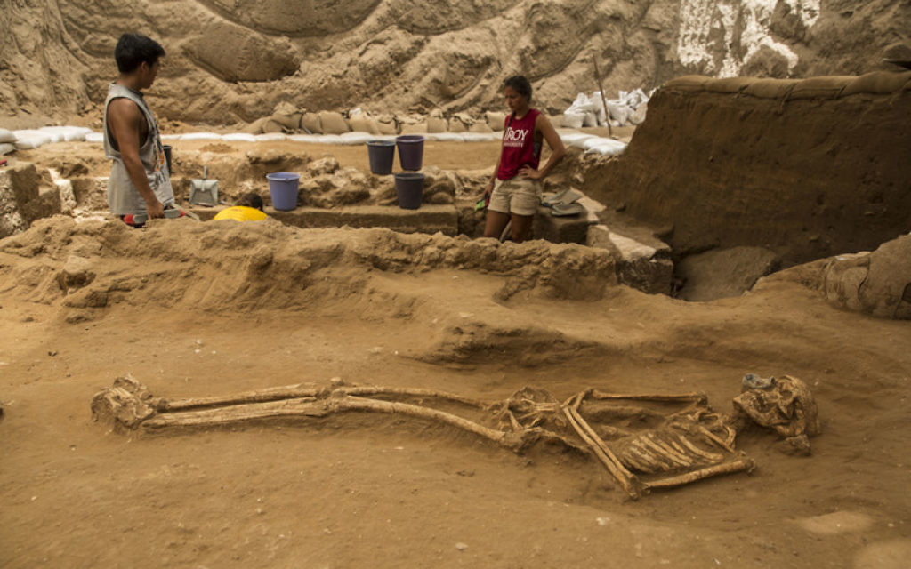 Une tombe de l'âge de bronze découverte pendant les fouilles d'un cimetière philistin par l'expédition Leon Levy à Ashkelon. (Crédit: Tsafrir Abayov/expédition Leon Levy )