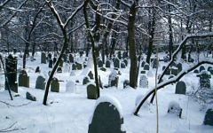 Illustration. Le cimetière juif de Chrzanow, en Pologne. (Crédit : Wikimedia Commons)
