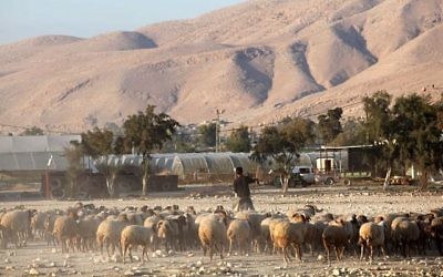 Un berger palestinien, dans la vallée du Jourdain, le 20 novembre 2009. (Crédit :  Yossi Zamir/Flash90)