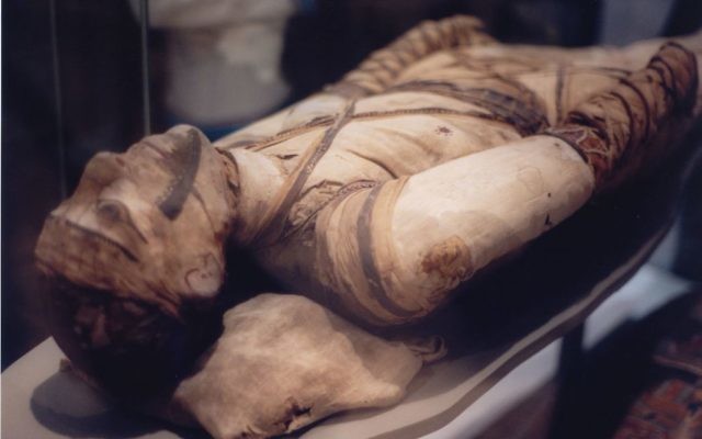 Photo d'illustration d'une momie au musée britannique de Londres (Crédit : CC BY-SA 3.0, Klafubra, Wikipedia)