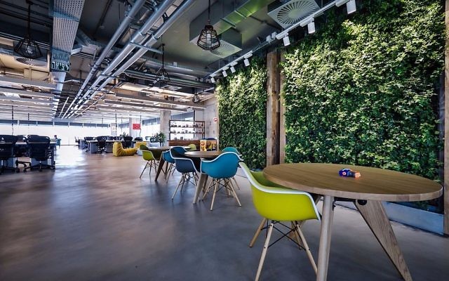 Un mur végétal dans les bureaux actuels  de Facebook en Israël à Tel Aviv, conçus par Setter Architects (Crédit : Itay Sikolsky)