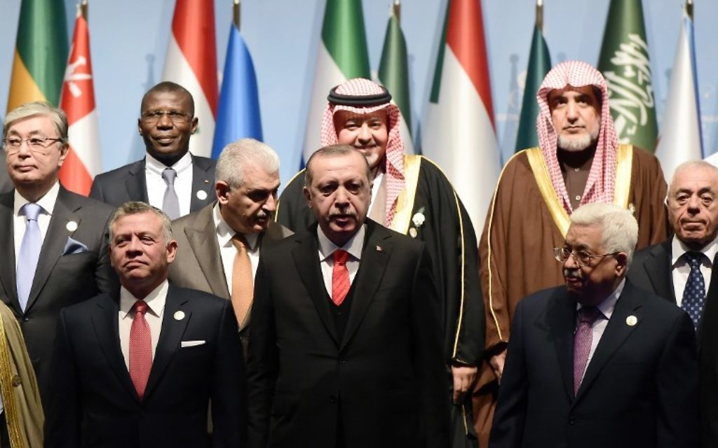 Le président turc Recep Tayyip Erdogan, au centre, entouré du roi Abdullah II de Jordanie, et à droite, le président de l'Autorité palestinienne Mahmoud Abbas, pose pour des photos avec d'autres dirigeants lors d'une séance photo avant l'ouverture de l'Organisation de coopération islamique à Istanbul, le 13 décembre 2017. (Crédit : AFP PHOTO / YASIN AKGUL)