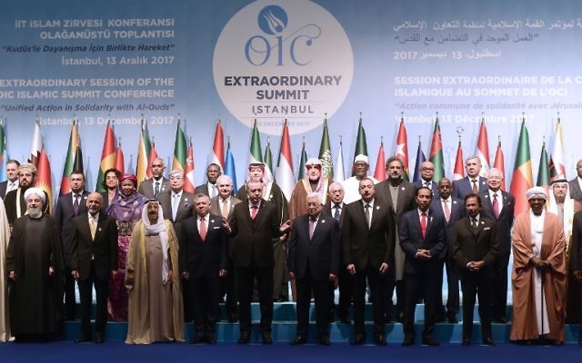 Les leaders et représentants des pays musulmans durant un sommet extraordinaire de l'OCI (Organisation de la coopération islamique) sur la reconnaissance de Jérusalem comme capitale d'Israël, à Istanbul, le 13 décembre 2017. (Crédit : AFP / YASIN AKGUL)