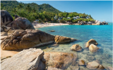 Une plage de l'île Koh Samui, en Thaïlande. (Crédit : Tupikov/iStock/Getty Images)