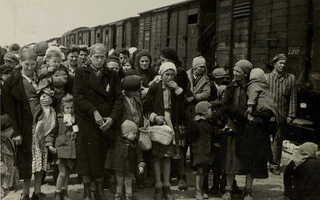A Auschwitz-Birkenau, en mai 1944, les Juifs hongrois arrivent dans des wagons à bestiaux et se préparent pour la "sélection" dirigée par les SS. (Auschwitz Album) A Auschwitz-Birkenau, en mai 1944, les Juifs hongrois arrivent dans des wagons à bestiaux et se préparent pour la "sélection" dirigée par les SS. (Auschwitz Album)