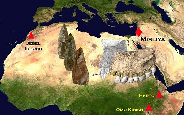 Les sites où ont été trouvés les premiers fossiles humains modernes en Afrique et au Moyen-Orient. (Crédit : Rolf Quam, Binghamton University, USA/NASA image)