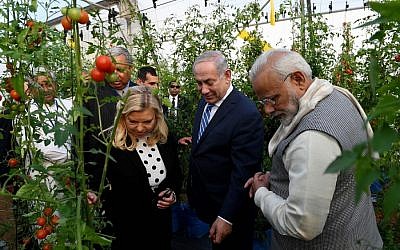 Le Premier ministre Benjamin Netanyahu et son épouse Sara visitent des serres à   Gujarat, en Inde, aux côtés du Premier ministre indien Nrenda Modi, le 18 janvier 2018 (Crédit :Avi Ohayon/GPO)