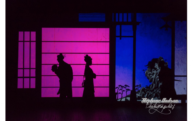 Ombres chinoises du décor du spectacle "Prince et princesses" qui se produira en Israël les 25 et 26 février (Crédit: Stéphane Audran)