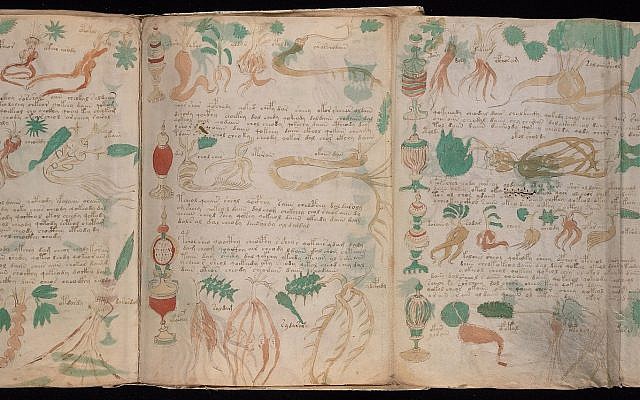 Pages extraites de MS 408 de Neinecke, ou manuscrit de Voynich. (Crédit : bibliothèque des livres et manuscrits rares Beinecke)