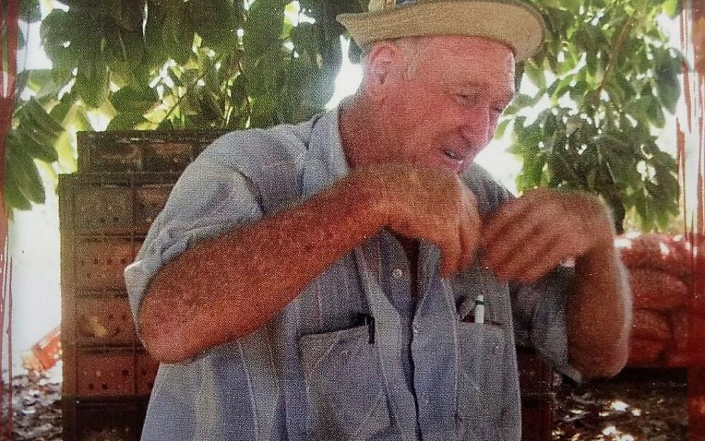 Mario Levi, dans la "zoula", lieu de repos à l'ombre pour les travailleurs en bordure du champ, expliquant avec les mains autant que les mots un principe d'agriculture organique (Crédit : photo tirée du livre "Le travail d'une vie" de Mario Levi)