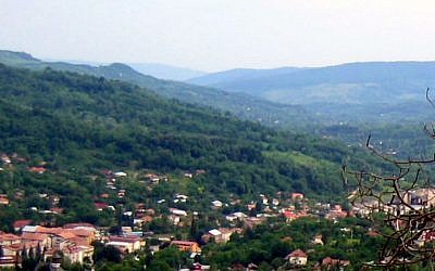 Vue générale de Slănic (Crédit : domaine public)