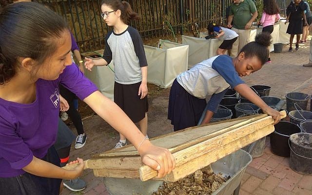 De la terre du mont du Temple criblée dans la ville de Petach Tikva par les élèves du lycée Yeshurun (Crédit : Inbal Dasberg/Projet de criblage du mont du Temple)