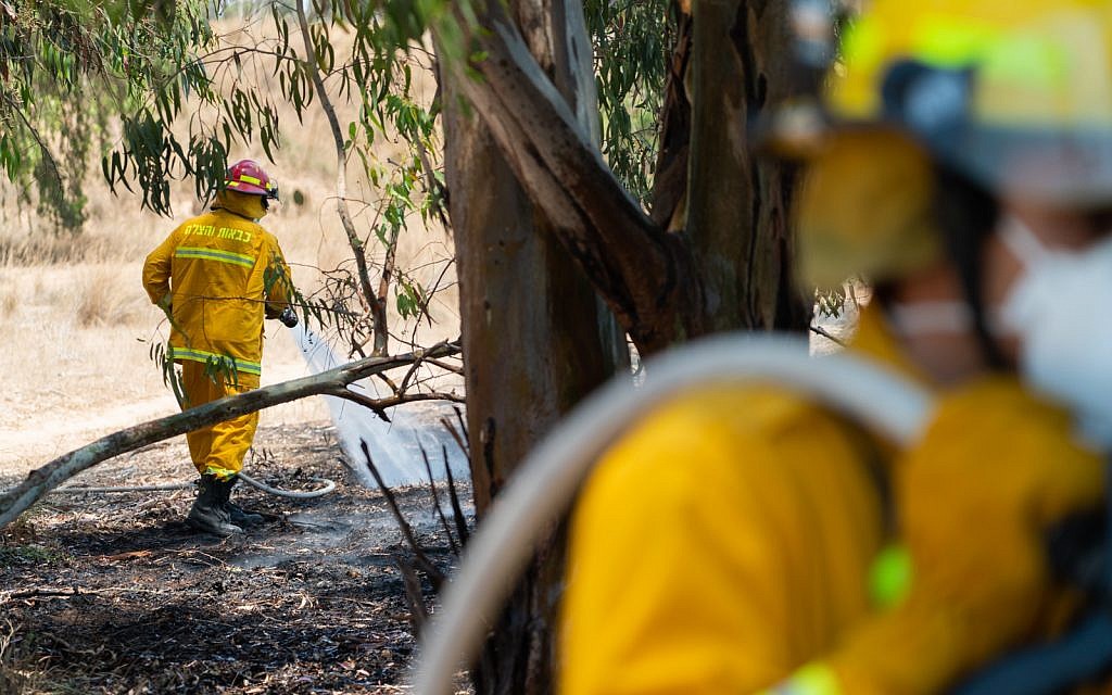 Des pompiers éteignent un incendie dans la forêt de Beeri, le 6 juin 2018. (Luke Tress/Times of Israel)