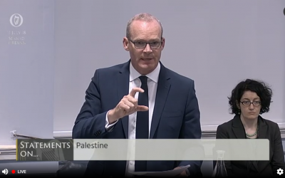 Le ministre irlandais des Affaires étrangères Simon Coveney pendant un débat au Sénat irlandais sur une loi interdisant le commerce de bien provenant de colonies, le 11 juillet 2018 (Crédit : capture d'écran oireachtas.ie)