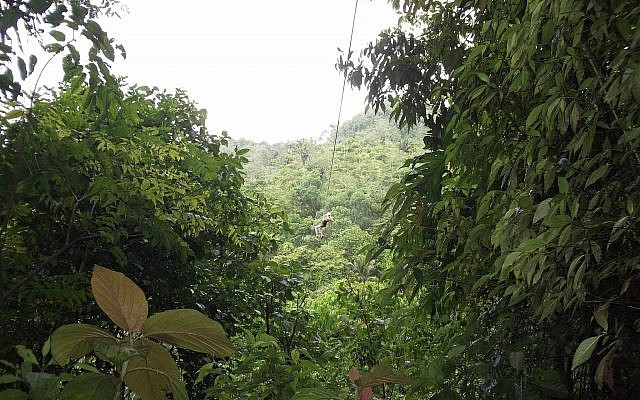 Une tyrolienne au Honduras (Photo d'illustration : Wes/Pexels) Une tyrolienne au Honduras (Photo d'illustration : Wes/Pexels)