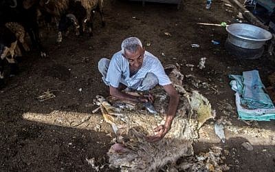 Illustration : Un Egyptien tond son mouton avant de les vendre dans un marché du Caire, à l'approche de l'Aid al-Adha, le16 août 2018. (Crédit : AFP / Khaled DESOUKI)