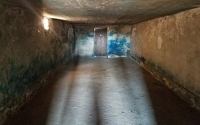 Une chambre à gaz du camp de Majdanek, en Pologne, en octobre 2017. (Crédit : Matt Lebovic/The Times of Israel)