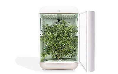 Illustration d'une technologie de culture du cannabis par Seedo. (Crédit : Seedo)
