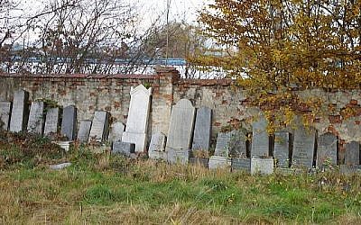 Le cimetière juif de wywiec, en Pologne, en 2007. (Adam Midor / Wikimedia Commons via JTA)