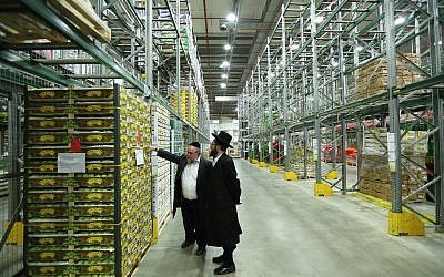 Des inspecteurs de casheroute dans un entrepôt de fruits et légumes, le 16 mars 2016; (Crédit : Yaakov Naumi/FLASH90)