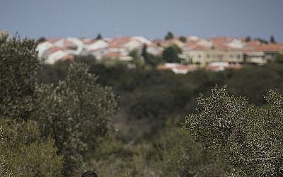 Illustration: les bois près de Zichron Yaakov (Crédit : Hadas Parush/Flash90)